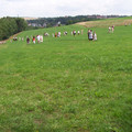 Besiedlungszug 2008 044.jpg