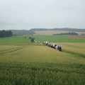 Besiedlungszug 2008 047.jpg