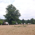 05.JPG