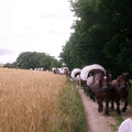 107.JPG