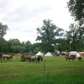 133.JPG