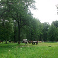 146.JPG