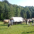 230.JPG