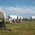 255.JPG