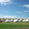 261.JPG