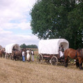 87.JPG