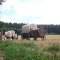 88.JPG