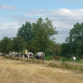 91.JPG