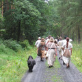 080.jpg