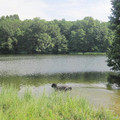 168.jpg