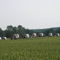 187.jpg