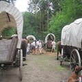 192.jpg