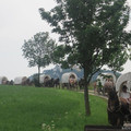 194.jpg