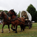 _MG_0517.jpg