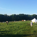 20160703_063936.jpg