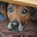 034.jpg