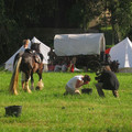 103.jpg
