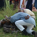 175.jpg