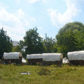 254.jpg